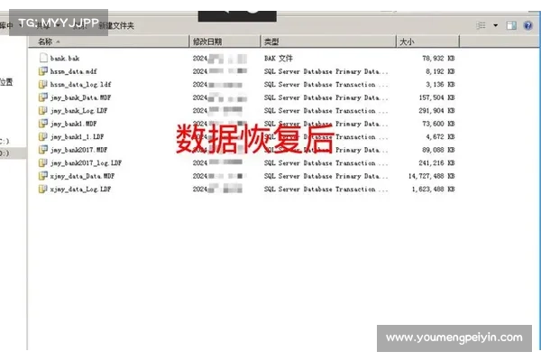 STOP 勒索病毒，比 LockBit 更常见，获得更隐秘的变种 媒体