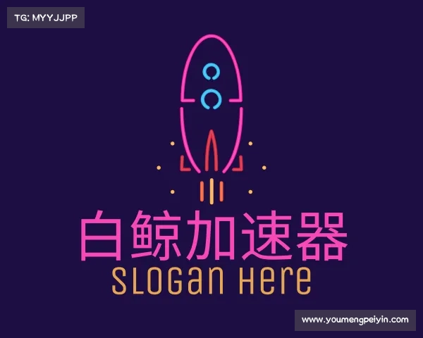 介绍白鲸加速器